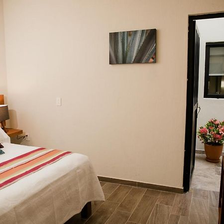 Casa Volcan X Santiago De เตกีลา ภายนอก รูปภาพ